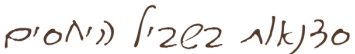אייל כ׳צלה (8)
